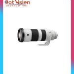 Sel 200-600g In Bangladesh