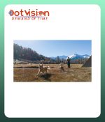 DJI Flip Drone (RC 2 with Fly More Combo) In Bangladesh