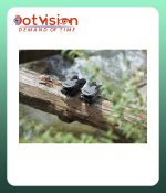 DJI Mavic 3 Classic Drone with DJI RC In Bangladesh