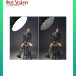 Professional Bowens Mount Parabolic Type Softbox In Bangladesh