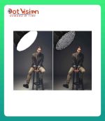 Professional Bowens Mount Parabolic Type Softbox In Bangladesh